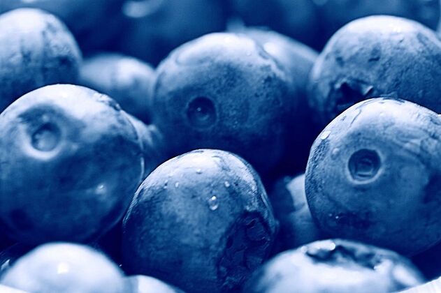 blueberries សម្រាប់របបអាហារ ketogenic